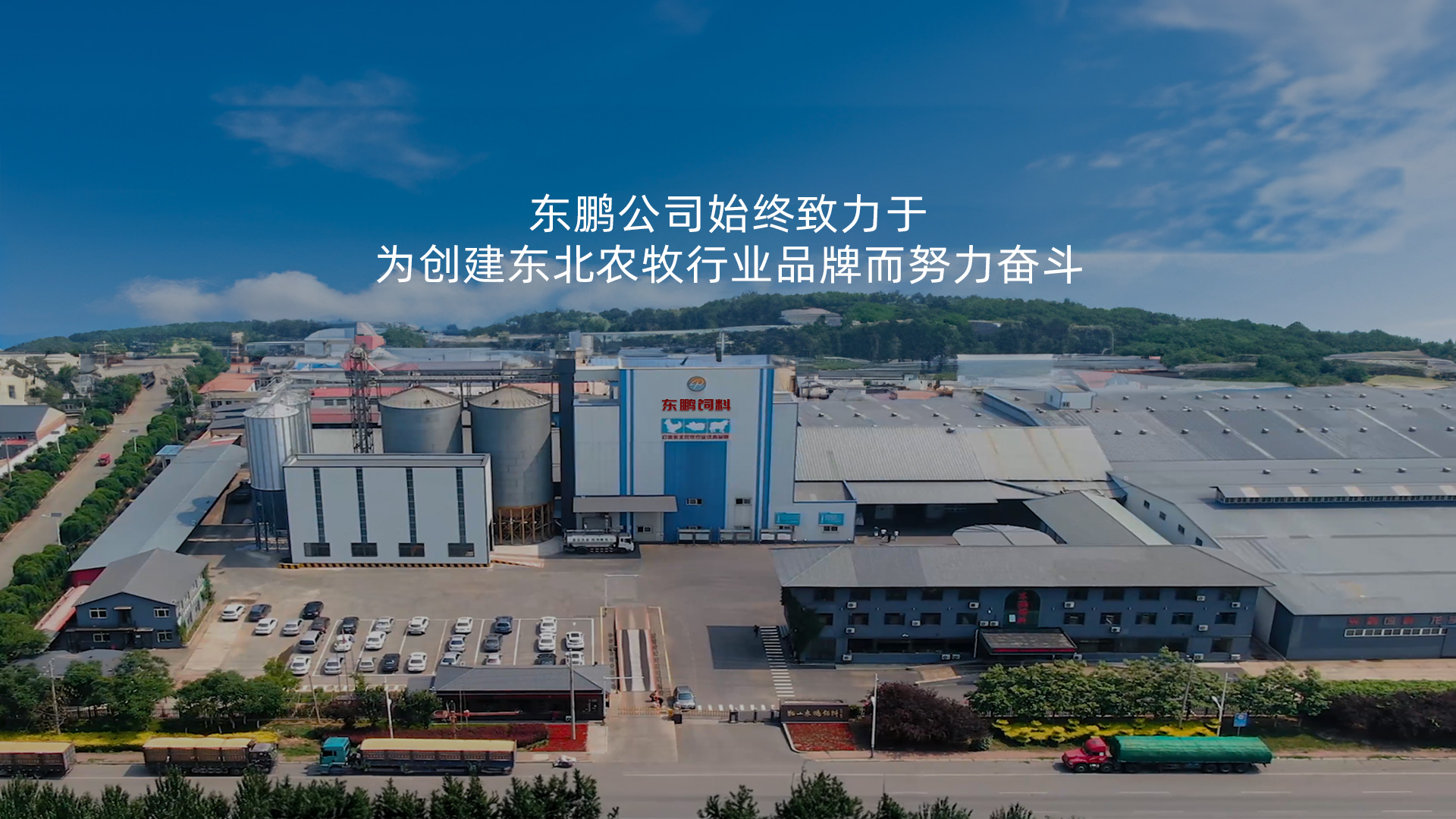 锦州饲料